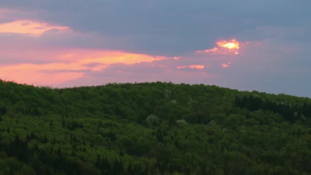Piękny Zachód Słońca Krajobraz Lasu Tle — Wideo stockowe