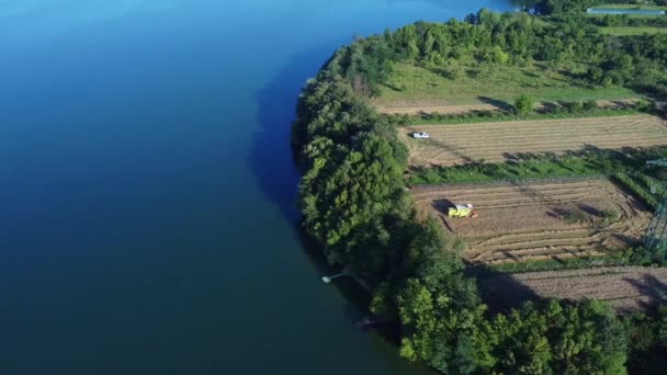Aerial Footage Combine Harvester Works Wheat Threshing Summer — Stock Video