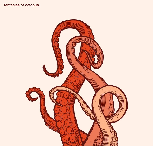 Tentáculos Pulpo Rojo Que Alcanzan Hacia Arriba Partes Del Cuerpo — Archivo Imágenes Vectoriales