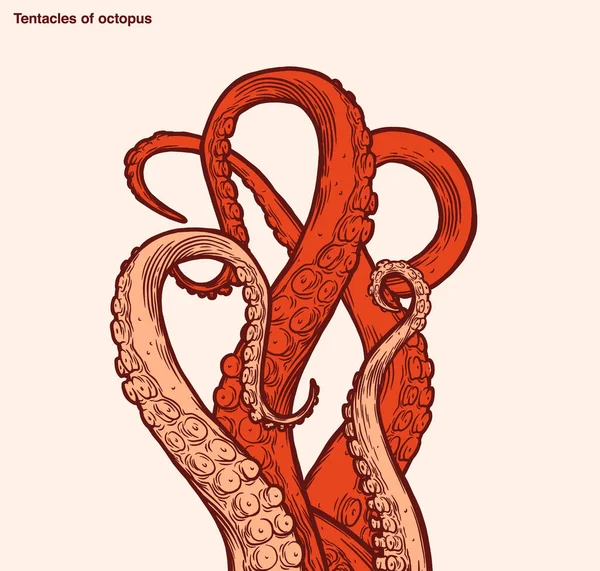 Tentáculos Pulpo Rojo Que Alcanzan Hacia Arriba Partes Del Cuerpo — Archivo Imágenes Vectoriales