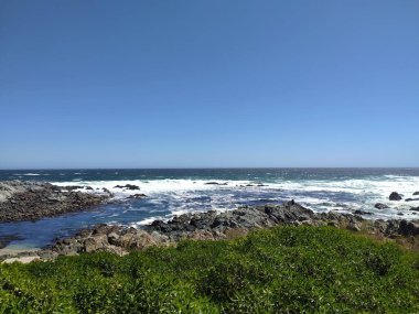 Denizde kayalar ve bitkiler