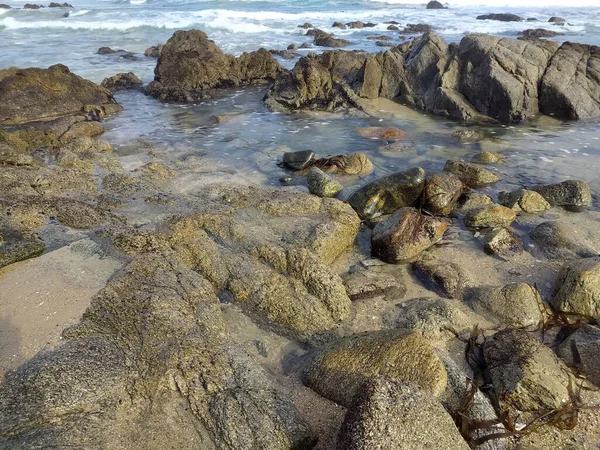 Deniz Kenarında Islak Kayalar — Stok fotoğraf