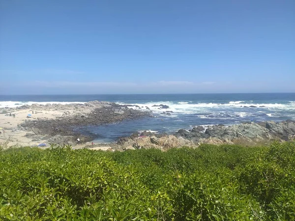 Kayalık bir plajın önündeki yeşil çalılar