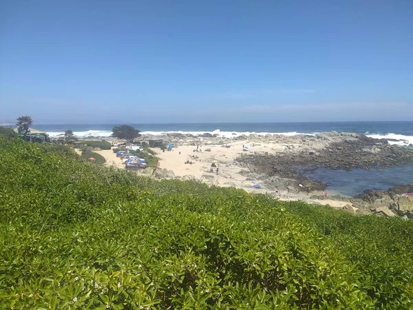 Kayalık sahil ve bitki örtüsü manzarası