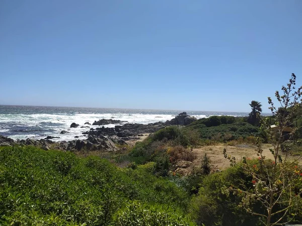 Deniz kenarındaki kayalar ve pitiporolar