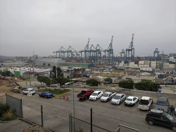 Deniz kenarındaki vinçler