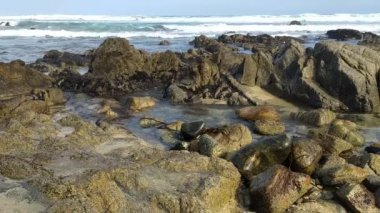 Deniz kenarında ıslak kayalar.