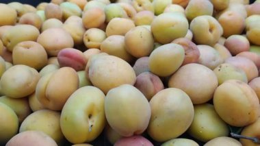 Taze ve temiz kayısılar.