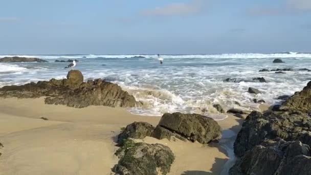 海水湿透的岩石 — 图库视频影像