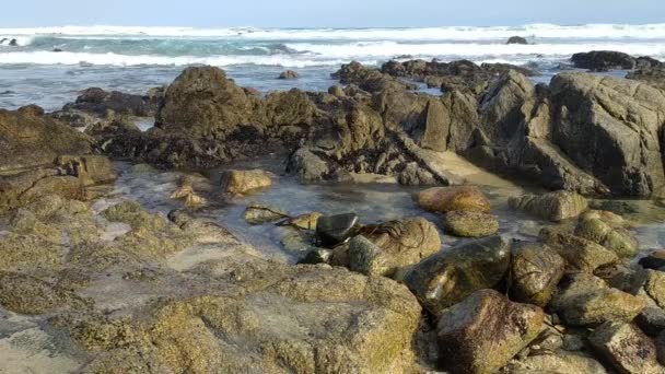 Rochers Mouillés Par Mer — Video