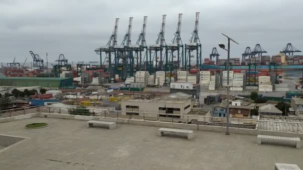 Cranes Port Cloudy Day — Stockvideo