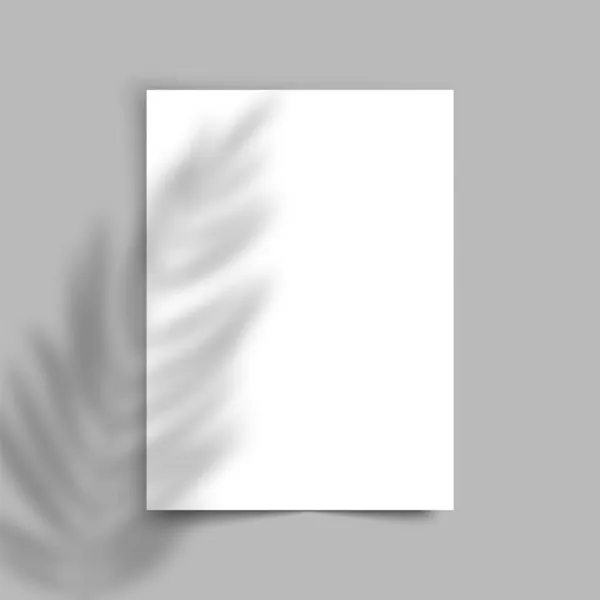 Efecto de superposición de sombras. Cartel de la maqueta de palmeras. Vector realista hoja blanca de sombra floral — Archivo Imágenes Vectoriales