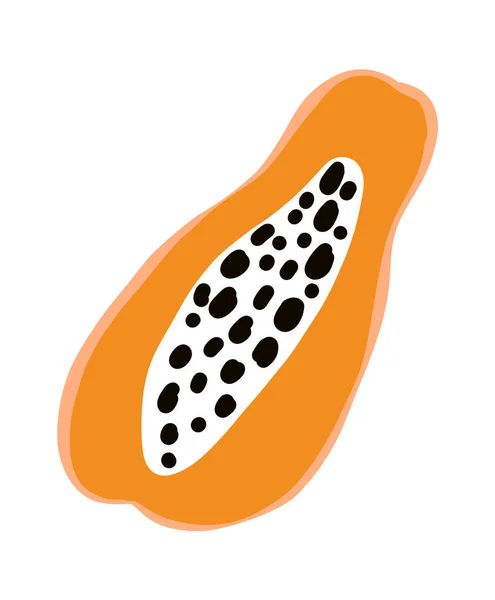 Papaya fruit. Tropical doodle agriculture. Vector exotic food icon — Stock Vector