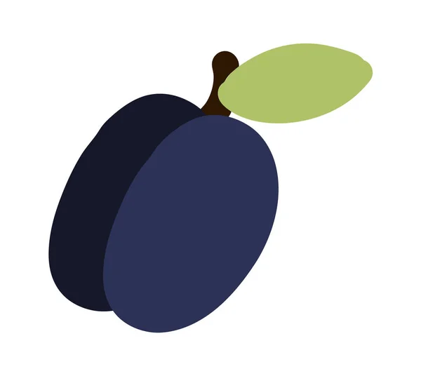 Plum fruit. Doodle berry with stem and leaf. Vector exotic food icon — Vettoriale Stock