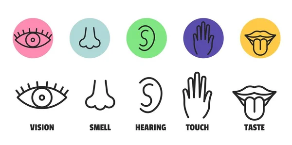 Minimalne ikony sensów. Oko w nosie, ucho, znak czucia języka dłoni. Wektor zmysłowy prosty znak — Wektor stockowy