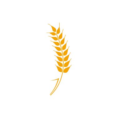 Wheat wreaths logo. Wheat ear icon. Vector agriculture ears symbol