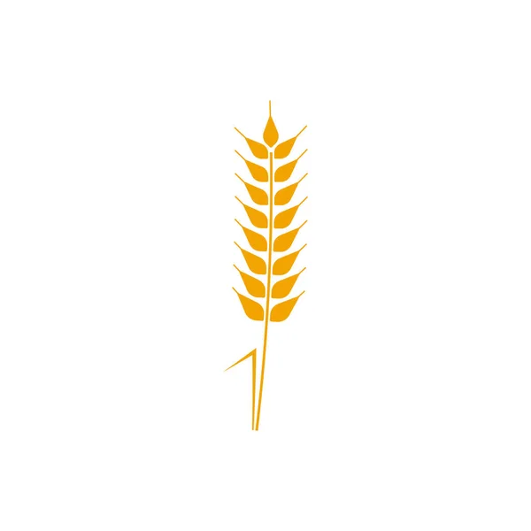 Wheat Wreaths Logo Wheat Ear Icon Vector Agriculture Ears Symbol — Stock Vector