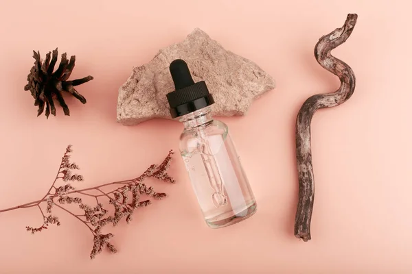 Skin serum in transparent bottle with dry flower, stone, cone and stick. Concept of organic beauty products Stock Fotografie