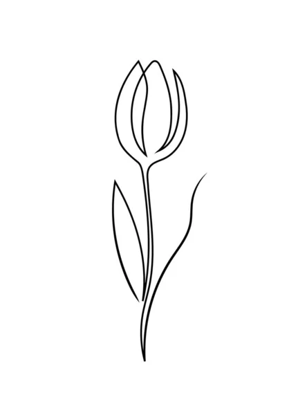 Disegno di tulipano in stile minimalismo disegnato a mano a una linea. — Vettoriale Stock