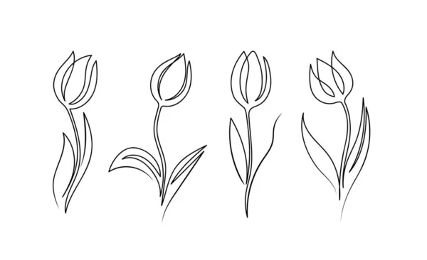 Tulipani in stile minimalismo disegnati a mano a una linea — Vettoriale Stock