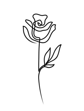 Bir çizgi el çizimi minimalizm tarzı gül tasarımı.