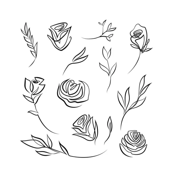 Collection d'une ligne de rose design. — Image vectorielle