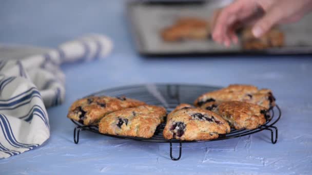 新鲜自制蓝莓早餐烤饼 — 图库视频影像