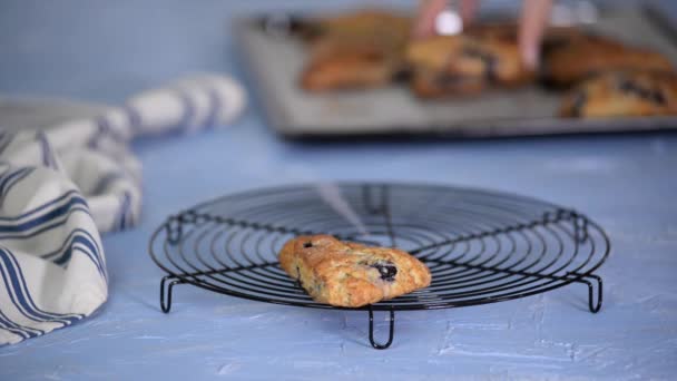 新鲜自制蓝莓早餐烤饼. — 图库视频影像