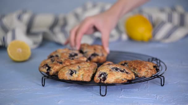 Frische hausgemachte Blaubeer-Frühstückscones. — Stockvideo