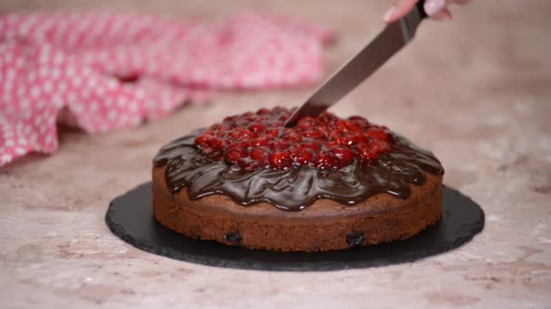 Mani femminili taglio torta di ciliegie al cioccolato a fette. — Video Stock