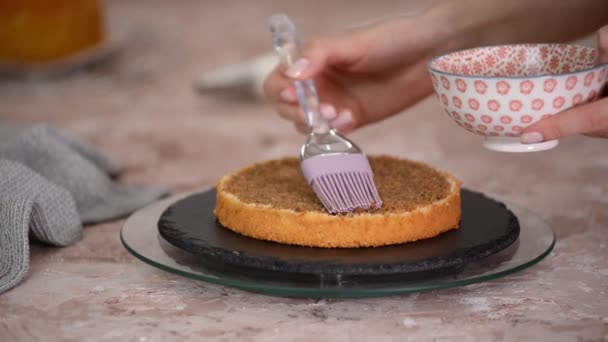 Μουλιάζοντας ένα στρώμα κέικ σφουγγάρι με καφέ. — Αρχείο Βίντεο