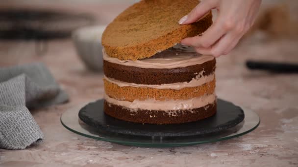 チョコレートクリームとビスケットで甘いケーキを作る女性の手のクローズアップ — ストック動画
