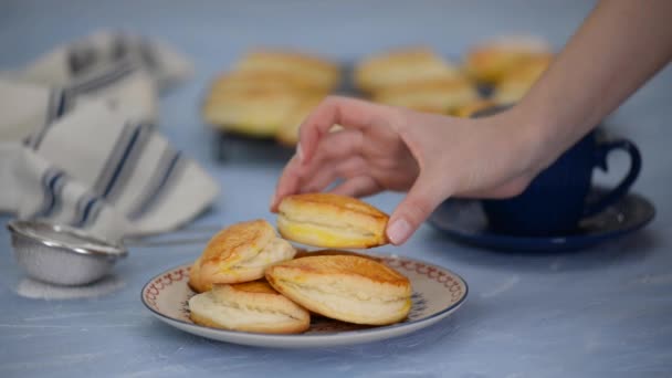 Sochniki com queijo cottage. Biscoito russo tradicional com queijo cottage. — Vídeo de Stock