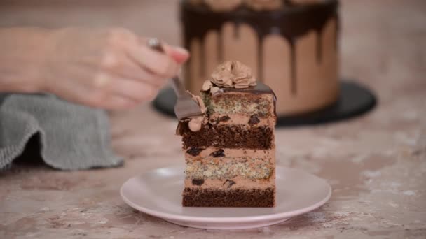 Stück Schokoladenkuchen mit Mohnschichten und Pflaumen. — Stockvideo