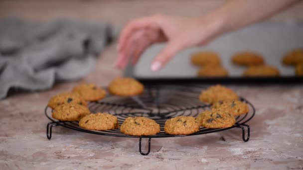 Biscuits Maison Aux Carottes Fraîchement Cuits Avec Des Raisins Secs — Video