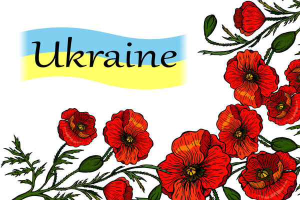 Ukraine for peace concept. Yellow-blue flag and Red flowers poppies symbol of the Ukraine. Vector illustration. Save Ukraine.