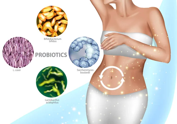 Darmflora. Gesunde Verdauung, gute menschliche Mikrobiota. Vektorillustration eines Mädchenbauches und Werbung für Probiotika oder Präbiotika. — Stockvektor