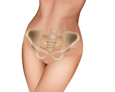 Dişi leğen kemiği anatomisi. Pelvis anatomik iskelet yapısı. Pelvis - Normal anatomik kemikleri vurgulayan kadın.