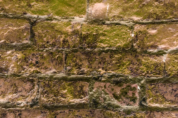 Duvarda tuğlalar soyut arkaplan. Eski tuğla duvar arka planı. grunge tuğla arkaplan dokusu