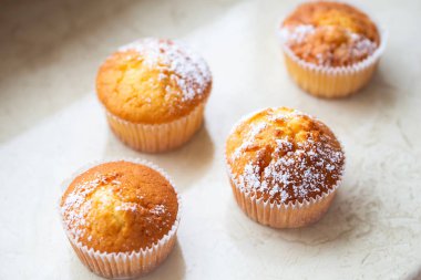 Sweet muffins with powdered sugar and blossoms. Homemade bakery. Muffins in white capsules decorated with fruit tree flowers. Spring time bakery.