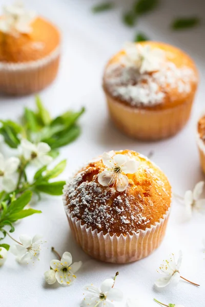 Sweet Muffins Powdered Sugar Blossoms Homemade Bakery Muffins White Capsules — стоковое фото