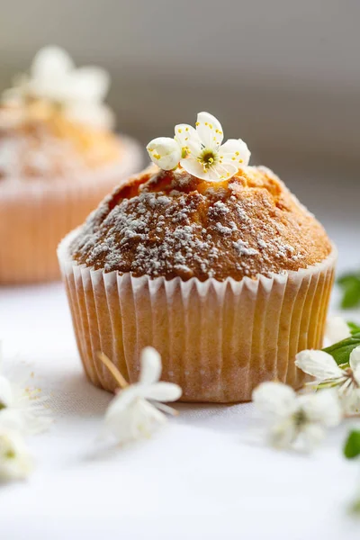 Sweet Muffins Powdered Sugar Blossoms Homemade Bakery Muffins White Capsules — Foto de Stock