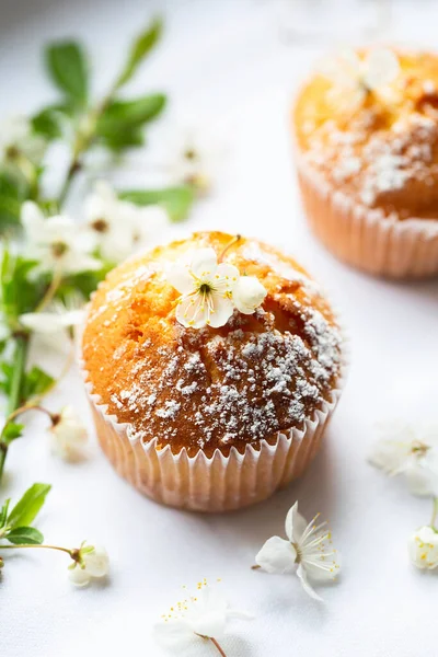 Sweet Muffins Powdered Sugar Blossoms Homemade Bakery Muffins White Capsules — Foto de Stock