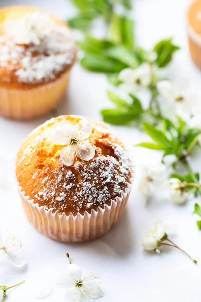 Sweet Muffins Powdered Sugar Blossoms Homemade Bakery Muffins White Capsules — стоковое фото