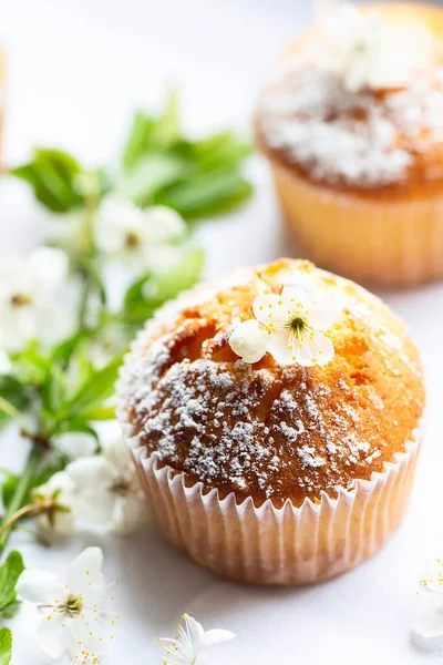 Sweet Muffins Powdered Sugar Blossoms Homemade Bakery Muffins White Capsules — стоковое фото