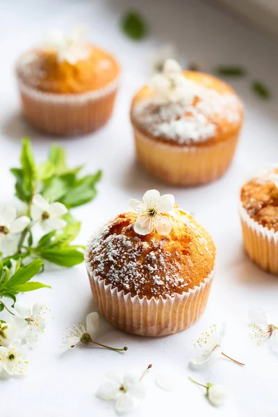 Sweet Muffins Powdered Sugar Blossoms Homemade Bakery Muffins White Capsules — стоковое фото