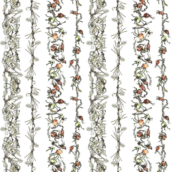 Aquarell-Muster Pastell elegante Illustration von Streifen von Winterbeeren und Zweigen auf weißem Hintergrund. — Stockfoto