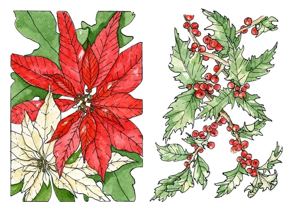 Aquarelle illustration ensemble de compositions hivernales de poinsettia et houx. Croquis de Noël dessiné à la main sur fond blanc. — Photo