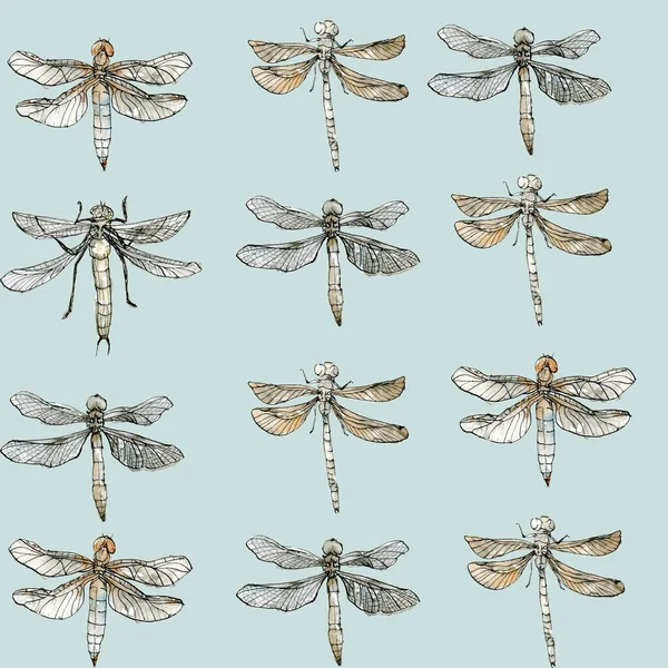 Watercolor seamless pattern of dragonfly, muted color sketch isolated on light blue background. Elegant insect drawn by hand with ink border.