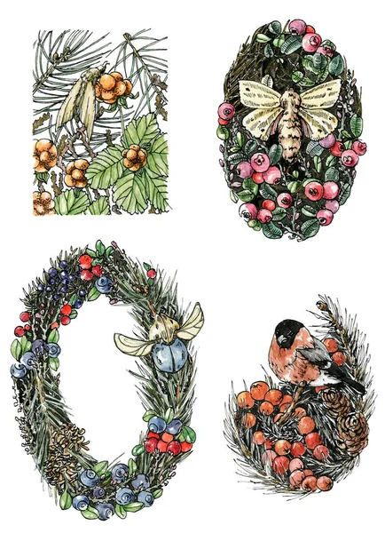 Акварельный иллюстрационный набор зимней композиции леса с приглушенным цветом. Моль, птица, жук на клюквенных ветвях, клубника, иголки, ясника. — стоковое фото